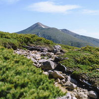 上ホロカメットク山山腹から眺める十勝岳の登山道の写真