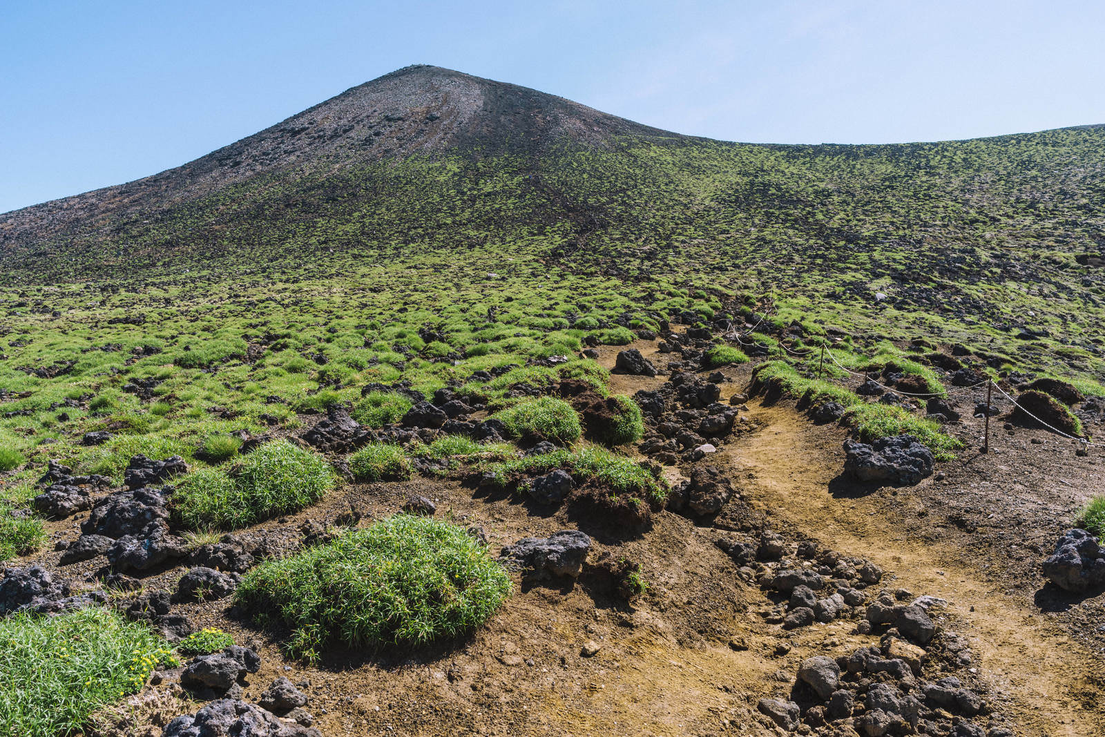 十勝岳山頂直下の火山性植物が茂る岩場と遠景の山々
