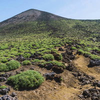 日本百名山・十勝岳の山頂直下に生い茂る火山性植物と登山道の写真