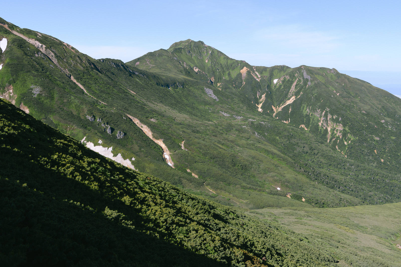 登山道から見た富良野岳の山並みと青空が広がる風景