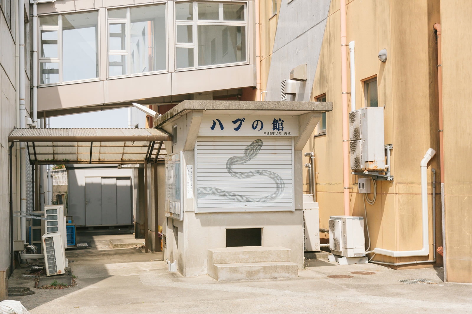 白いシャッター扉と「ハブの館」の看板がある建物外観。天城町役場敷地に隣接した位置に設営