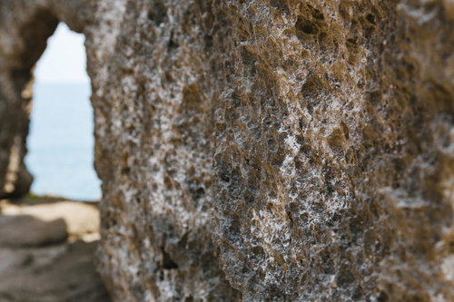 隆起サンゴ礁でできた壁