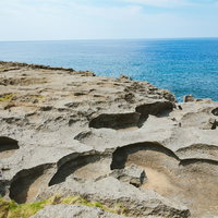 犬の門蓋の削られた隆起サンゴ礁とガジュマルの巨木の写真