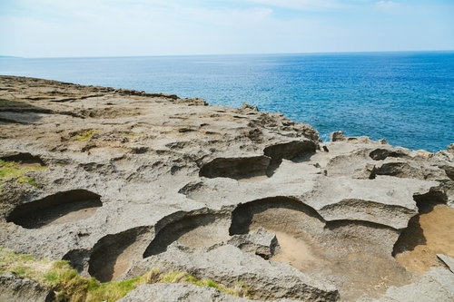 犬の門蓋の削られた隆起サンゴ礁とガジュマルの巨木