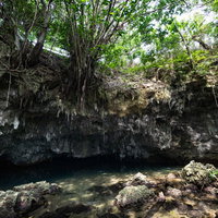 木に覆われるウンブキの遊歩道と岩場の写真