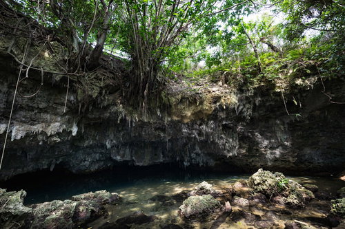木に覆われるウンブキの遊歩道と岩場