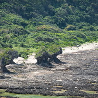 徳之島の海岸に点在する奇岩群と断崖絶壁の自然景観の写真