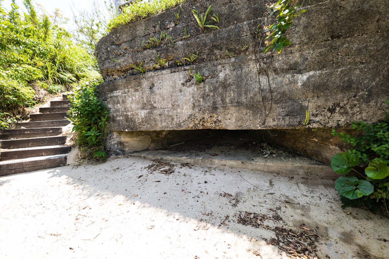 石段とコンクリート製トーチカが砂地に立つ。緑の植物に囲まれた戦争遺跡。