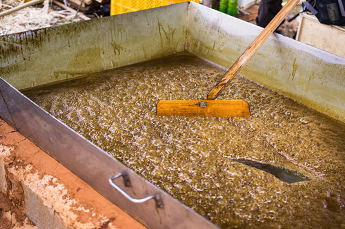 サタヤドリでサトウキビを煮詰めて黒糖づくり