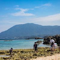 海開きした徳之島畦プリンスビーチの白い砂浜と青い海の写真