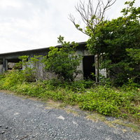 徳之島ニューオータニ・ホテル跡の廃墟｜劣化した建物と自然の侵食の写真