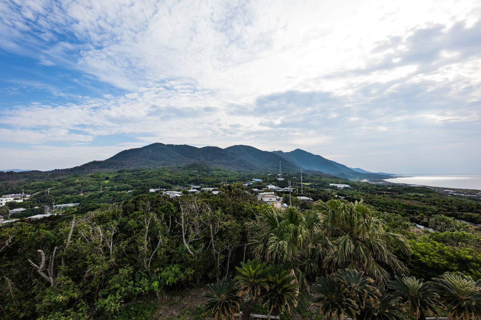 金見崎展望台から見た徳之島の風景、ソテツと山並み、青空