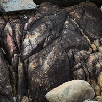 徳之島ムシロ瀬の風化した花崗岩の岩場と海岸線の写真