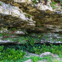 徳之島犬田布海岸前の地層が露出した岩壁と苔生す岩肌の写真