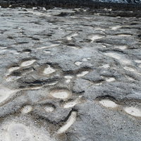徳之島犬田布海岸の珊瑚礁が広がる干潟と透明な海水の写真