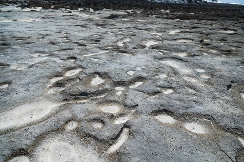 徳之島犬田布海岸の珊瑚礁が広がる干潟と透明な海水
