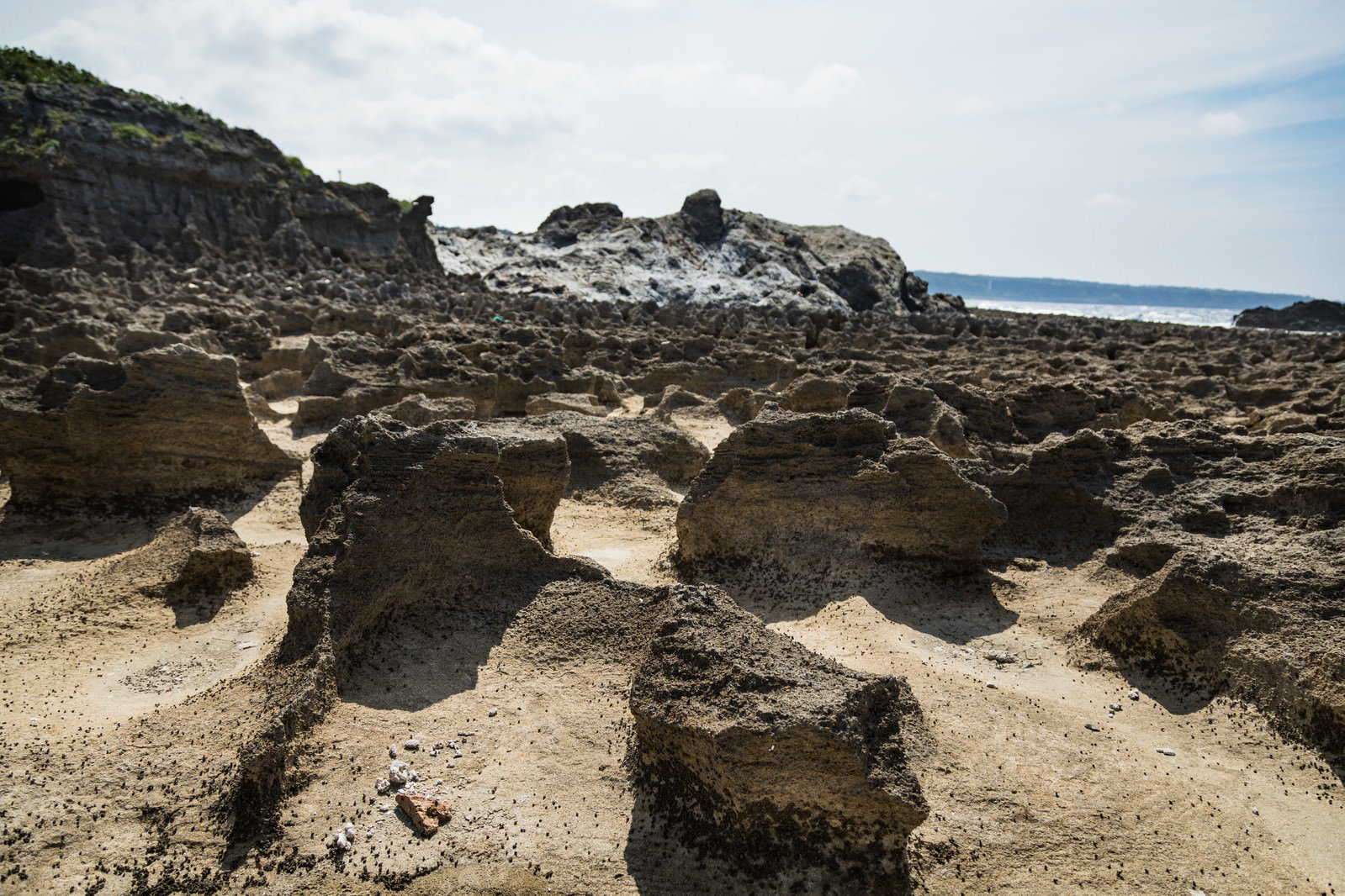 砂浜に散在する隆起した岩塊群。背景に海と崖。古生代中生代の地層露頭。