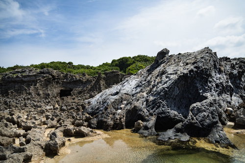 徳之島の犬田布海岸に露出するメランジ堆積物（県指定天然記念物）
