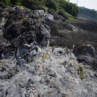 徳之島の犬田布海岸に露出する天然記念物メランジ堆積物の写真