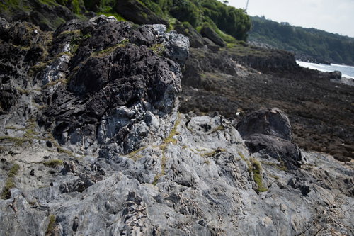徳之島の犬田布海岸に露出する天然記念物メランジ堆積物
