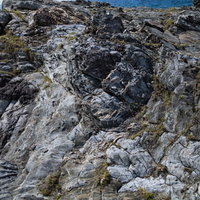 徳之島の犬田布海岸に露出する泥岩のメランジ堆積物の写真