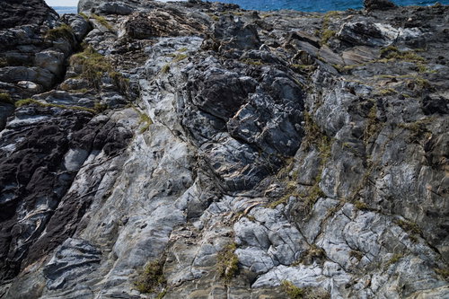 徳之島の犬田布海岸に露出する泥岩のメランジ堆積物