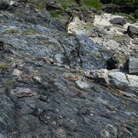 複雑に入り組んだメランジ堆積物の地層が重なる海岸の岩場の写真