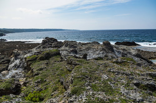徳之島のメランジ堆積物と海岸の波打ち際に生える苔
