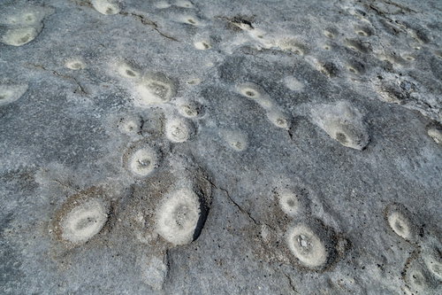 徳之島犬田布海岸の塩田跡ミヤドーバルの干潟景観