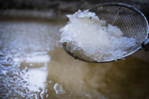 徳之島の天然塩を竹ざるにすくった製塩風景