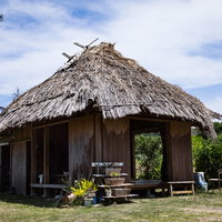 あおさの唐揚げなど徳之島の伝統料理やどぅりの写真