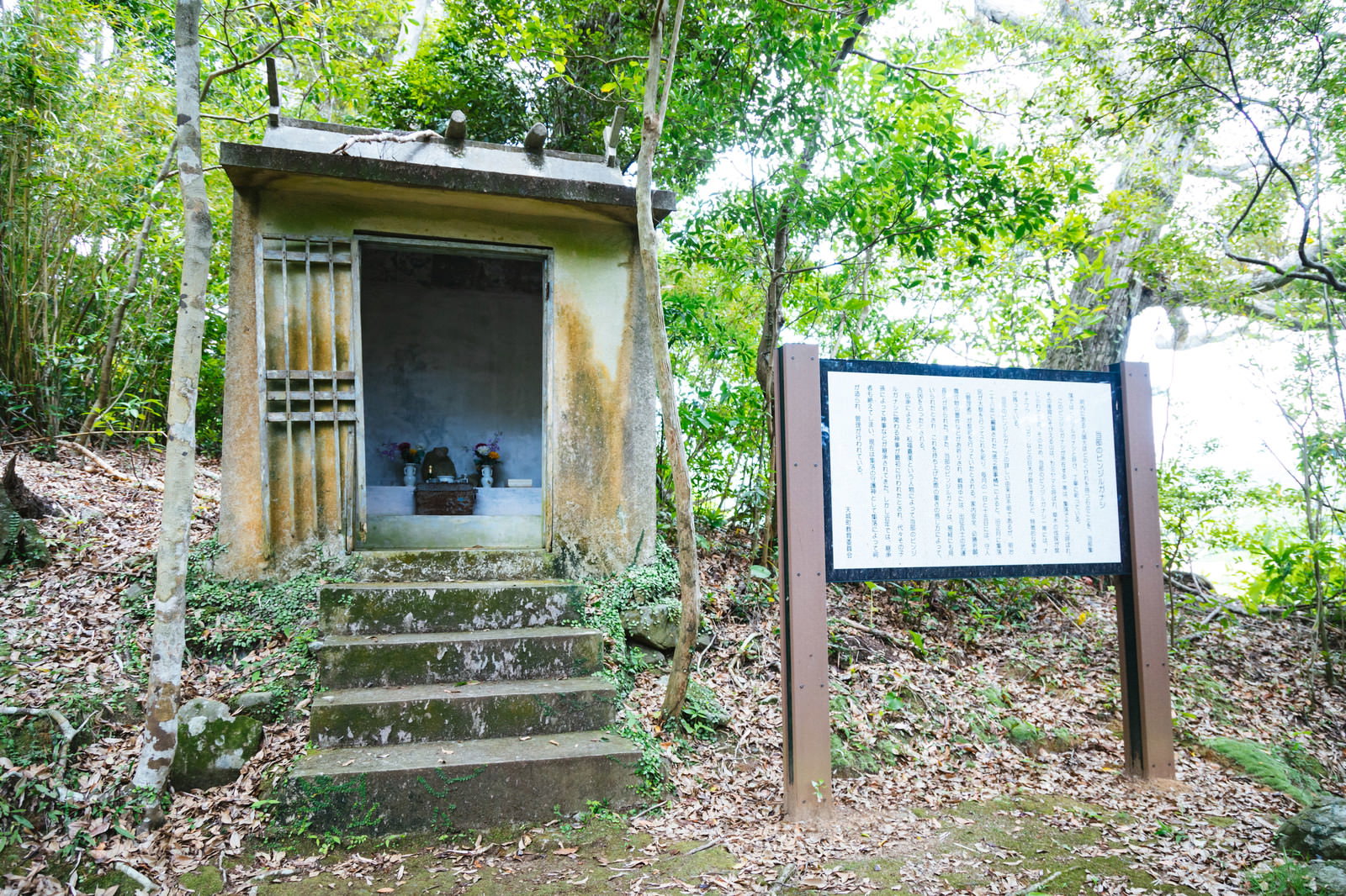 緑の森に囲まれた木造小屋と案内板、木製階段が見える