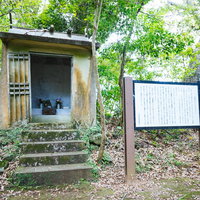 徳之島の当部のビンジルガナシ、森の中の木造小屋の写真