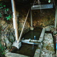 徳之島随一の名水。東又泉（アガリマタイジュン）から湧き出る清水の写真