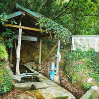 約400年前に降った雨水が湧き出る東又泉の湧水地の写真