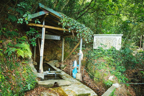 約400年前に降った雨水が湧き出る東又泉の湧水地
