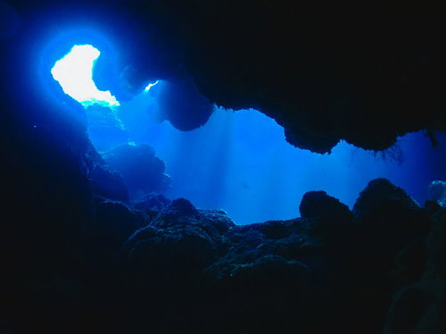 徳之島ダイビングポイント：千間海岸タイガーホール海中洞窟
