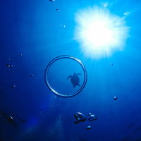 スキューバダイビング中、エアーの輪っかと海亀のシルエットの写真
