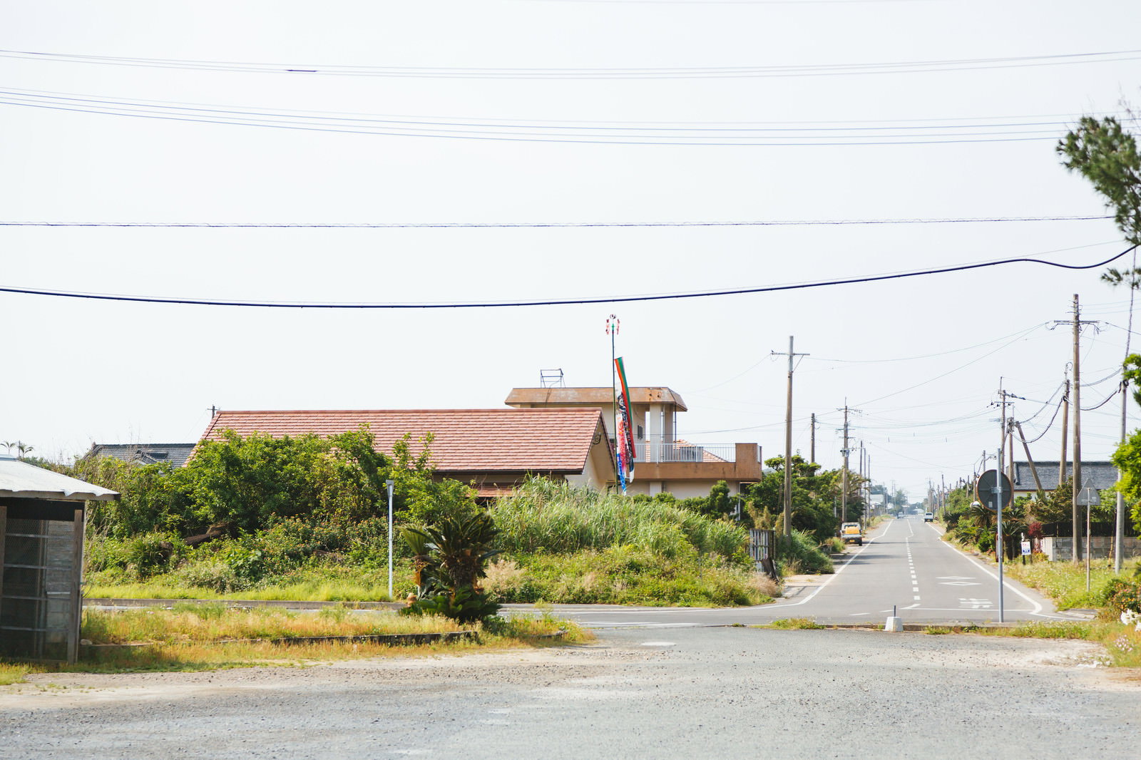 両側に雑木が茂る直線道路。電柱が連なり、曇り空の下、遠方に建物と樹木が見える風景