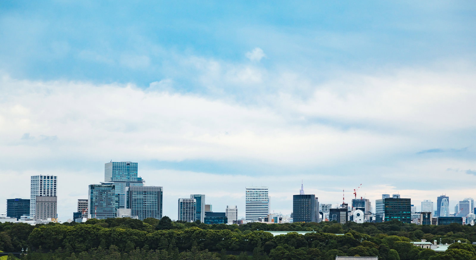 皇居の緑豊かな森の向こうに東京都心の高層ビル群が見える風景