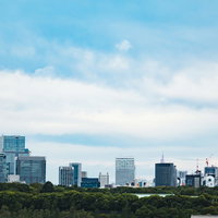 皇居の緑豊かな木々と東京都心のビル群の対比風景の写真