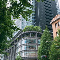 街路樹に包まれた現代の高層ビルの写真