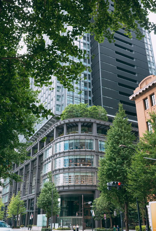 街路樹に包まれた現代の高層ビル