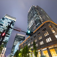 東京駅中央口前のビル群と夜景、信号機と街路樹の写真
