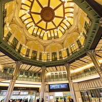 東京駅丸の内北口駅舎の八角形北ドーム天井の写真