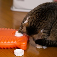 湯たんぽで温まる猫の写真