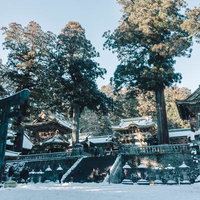 雪の日光東照宮と鳥居（後ろの正面）の写真
