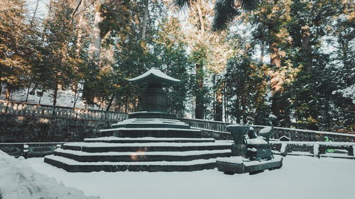 積雪期の奥宮参拝道、暗色の宝塔と石段と境内