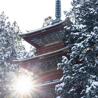 日光東照宮の五重塔（雪景色）の写真