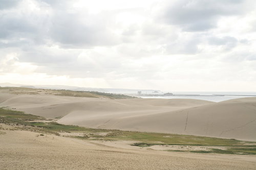 遠景に日本海を望む鳥取砂丘